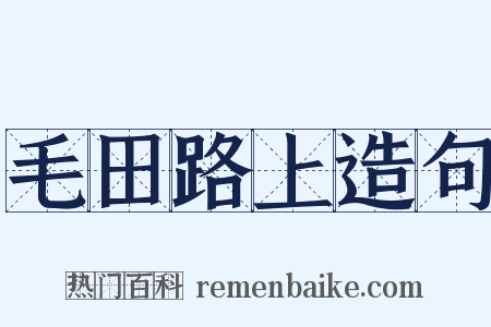 毛田路上造句是什么意思的图片